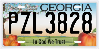 GA license plate PZL3828
