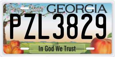 GA license plate PZL3829