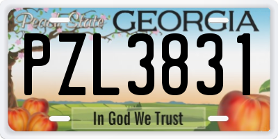 GA license plate PZL3831