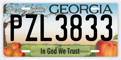 GA license plate PZL3833