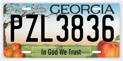 GA license plate PZL3836
