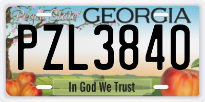 GA license plate PZL3840