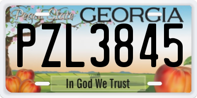 GA license plate PZL3845