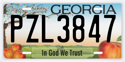 GA license plate PZL3847