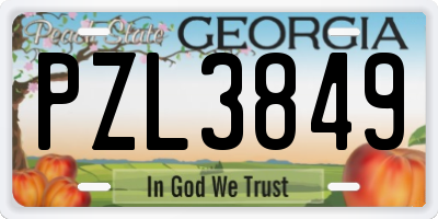 GA license plate PZL3849