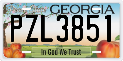 GA license plate PZL3851