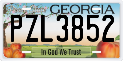 GA license plate PZL3852