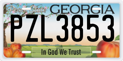 GA license plate PZL3853