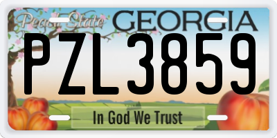 GA license plate PZL3859