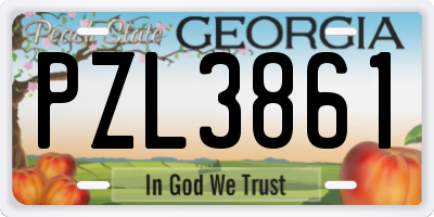 GA license plate PZL3861
