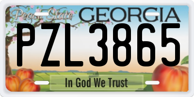 GA license plate PZL3865