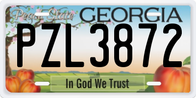GA license plate PZL3872