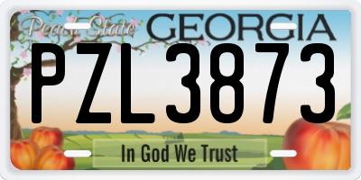 GA license plate PZL3873
