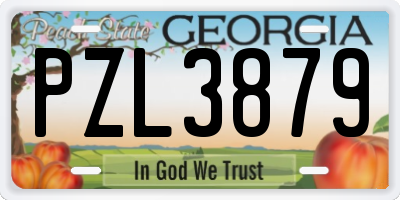 GA license plate PZL3879