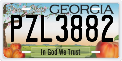 GA license plate PZL3882