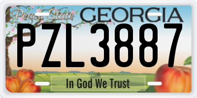 GA license plate PZL3887