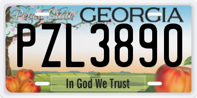 GA license plate PZL3890
