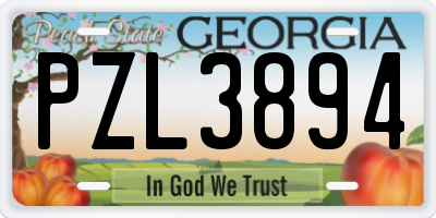 GA license plate PZL3894