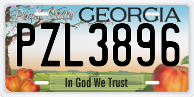 GA license plate PZL3896