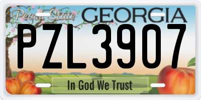 GA license plate PZL3907