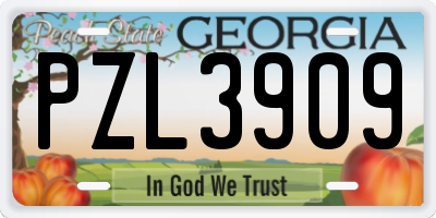GA license plate PZL3909