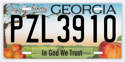 GA license plate PZL3910