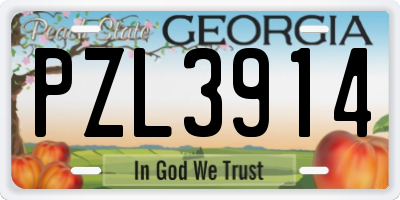 GA license plate PZL3914