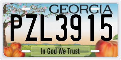 GA license plate PZL3915