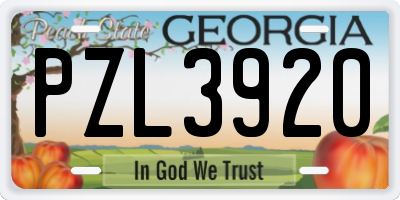 GA license plate PZL3920
