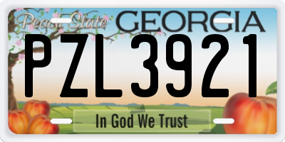 GA license plate PZL3921