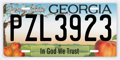 GA license plate PZL3923