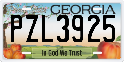 GA license plate PZL3925