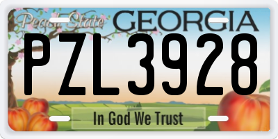 GA license plate PZL3928