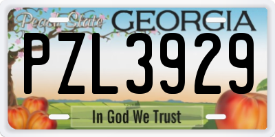 GA license plate PZL3929