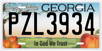 GA license plate PZL3934