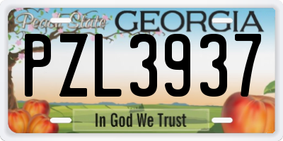 GA license plate PZL3937