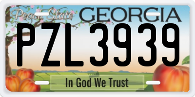 GA license plate PZL3939