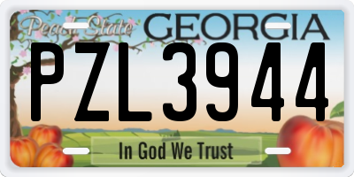 GA license plate PZL3944