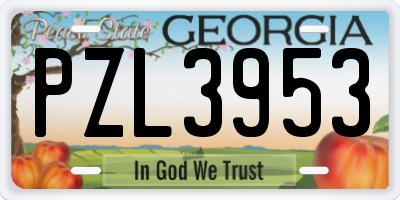 GA license plate PZL3953