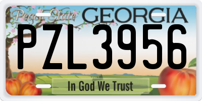 GA license plate PZL3956