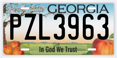 GA license plate PZL3963