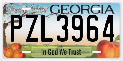 GA license plate PZL3964