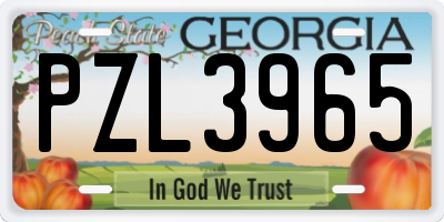 GA license plate PZL3965
