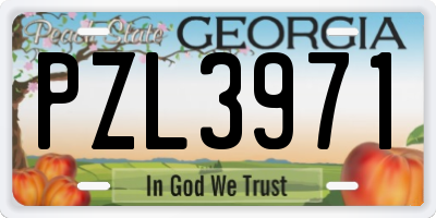 GA license plate PZL3971