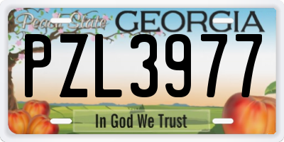 GA license plate PZL3977