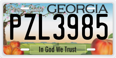 GA license plate PZL3985