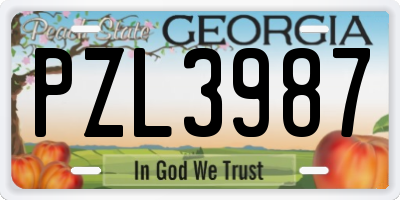 GA license plate PZL3987