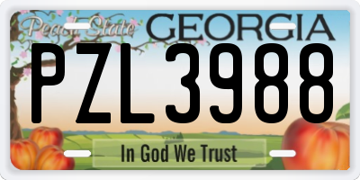 GA license plate PZL3988
