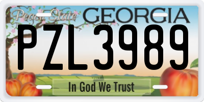 GA license plate PZL3989