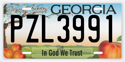 GA license plate PZL3991